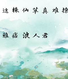 这株仙草真难撩