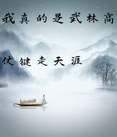 我真的是武林高手