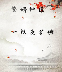 赘婿神医