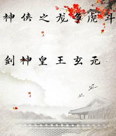 神侠之龙争虎斗