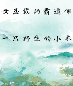 女总裁的霸道佣兵