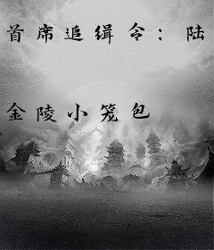 首席追缉令：陆少，请克制