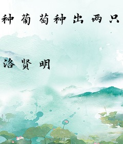 种葡萄种出两只小包子
