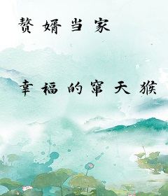 赘婿当家