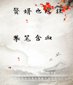 赘婿也疯狂