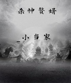 杀神赘婿