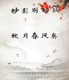妙影别动队