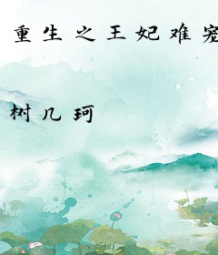 重生之王妃难宠