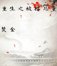 重生之被拐儿童寻家记