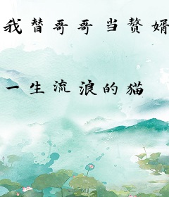 我替哥哥当赘婿
