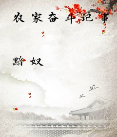 农家奋斗记事