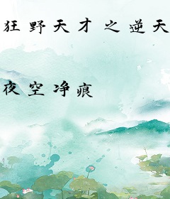 狂野天才之逆天武道
