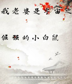 我老婆是宇宙之心