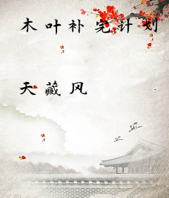 木叶补完计划