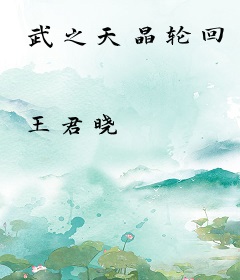 武之天晶轮回