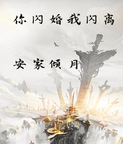 你闪婚我闪离