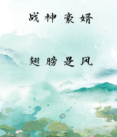 战神豪婿