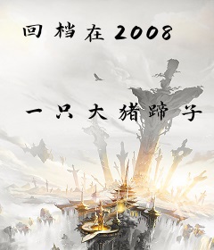 回档在2008