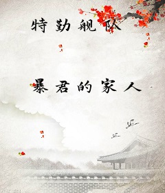 特勤舰队