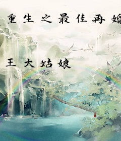 重生之最佳再婚