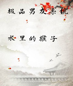 极品男友系统