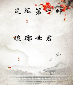 足坛第一帅