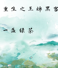 重生之王牌黑客