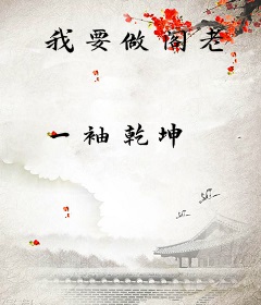 我要做阁老
