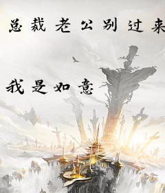 总裁老公别过来