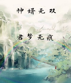 神婿无双