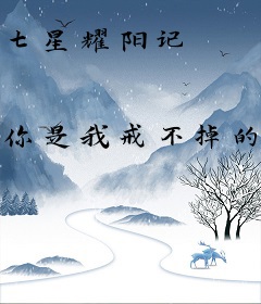 七星耀阳记