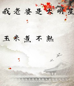 我老婆是大明星