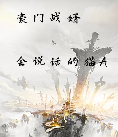 豪门战婿