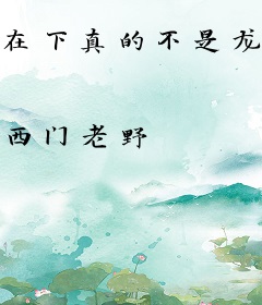 在下真的不是龙傲天