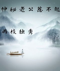 神秘老公惹不起