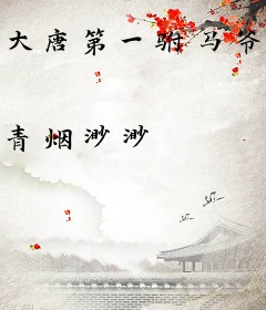 大唐第一驸马爷房俊