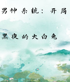 男神系统：开局八十亿