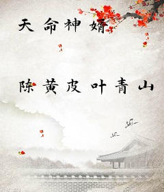 天命神婿