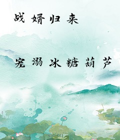 战婿归来