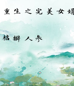 重生之完美女婿