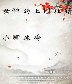 女神的上门狂婿