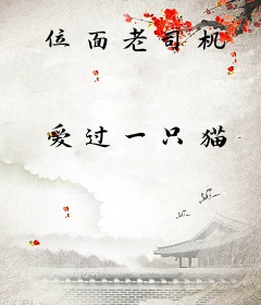 位面老司机
