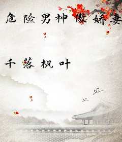 危险男神傲娇妻