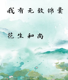 我有无数锦囊