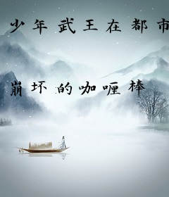 少年武王在都市