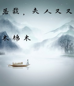 总裁，夫人又又又挂了