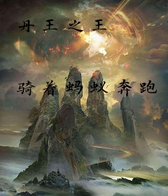 丹王之王