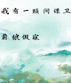 我有一颗间谍卫星