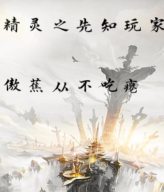精灵之先知玩家