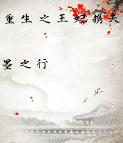 重生之王妃携夫闯江湖